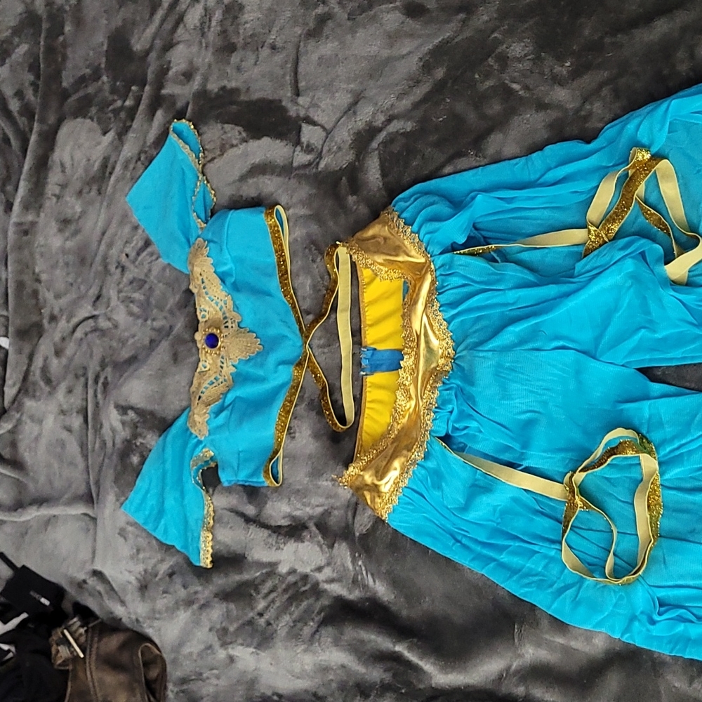 Princess Jasmine Costume